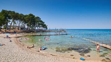 Lettini da mare