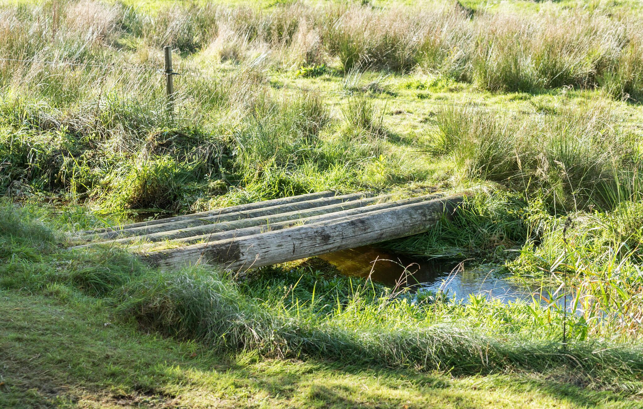 A rustic wooden bridge over a small stream in a grassy field.