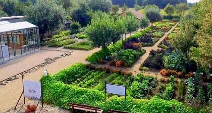 Pet Friendly & Peaceful Stay