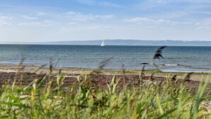 Vista costera con una playa arenosa, primer plano con hierba y un velero en el agua.