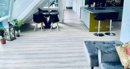 Penthouse Overlooking the Neckar