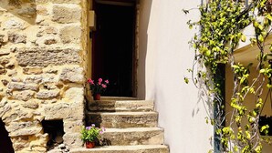 A stone staircase leading to a dark doorway, with potted plants and flowers at the base.