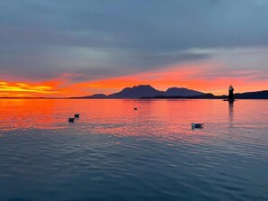 Boating - Våg Helgeland (Alstahaug)