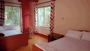 Phòng đôi hoặc 2 giường đơn cơ bản | Bộ đồ giường cao cấp, bàn, phòng cách âm