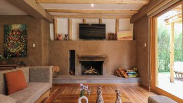 TV, fireplace, offices