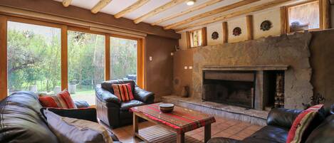 Televisio, takka, työhuone