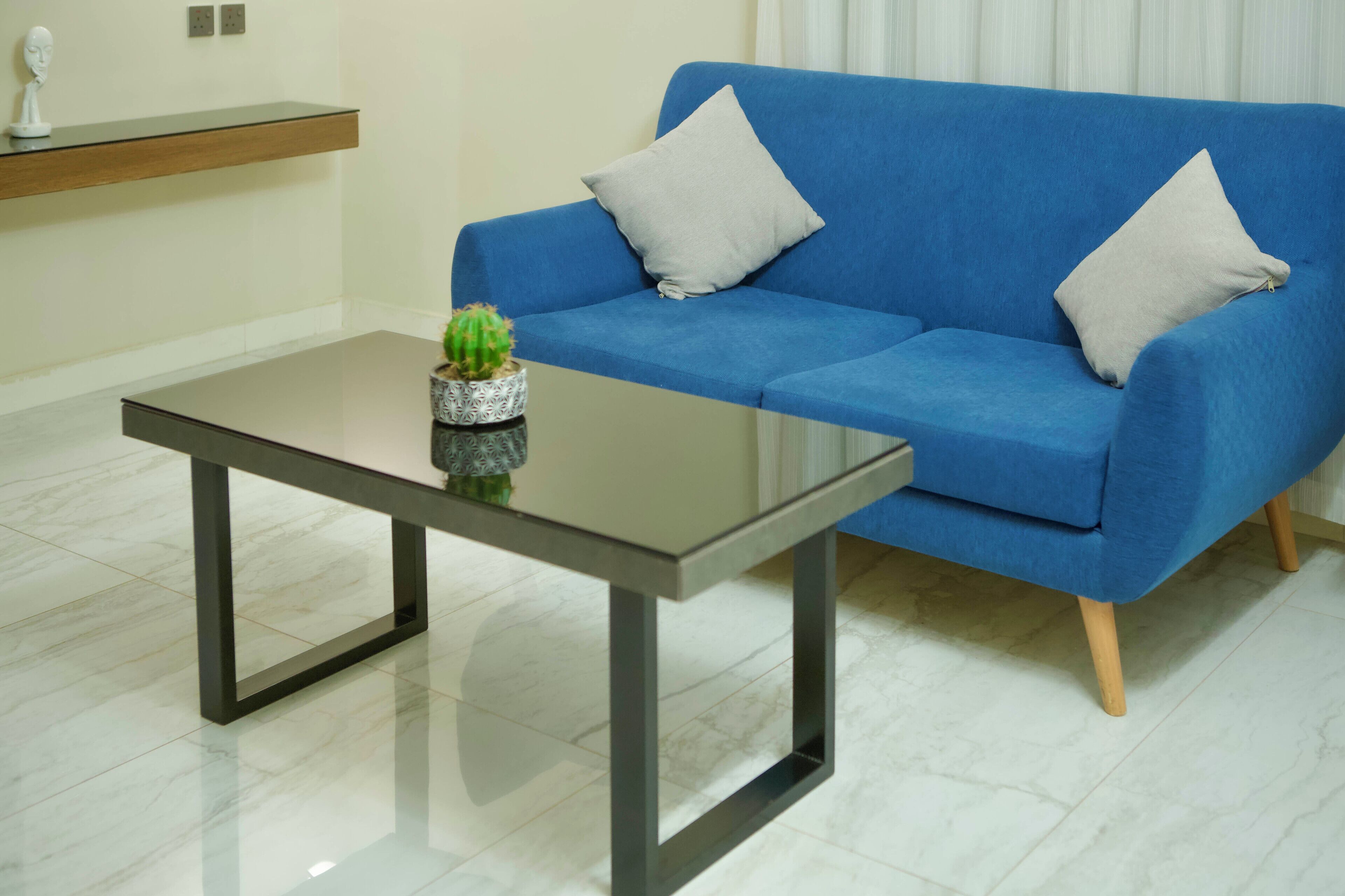 Ein modernes Wohnzimmer mit einem blauen Sofa, zwei grauen Kissen, einem Glastisch und einer kleinen Kakteenpflanze.