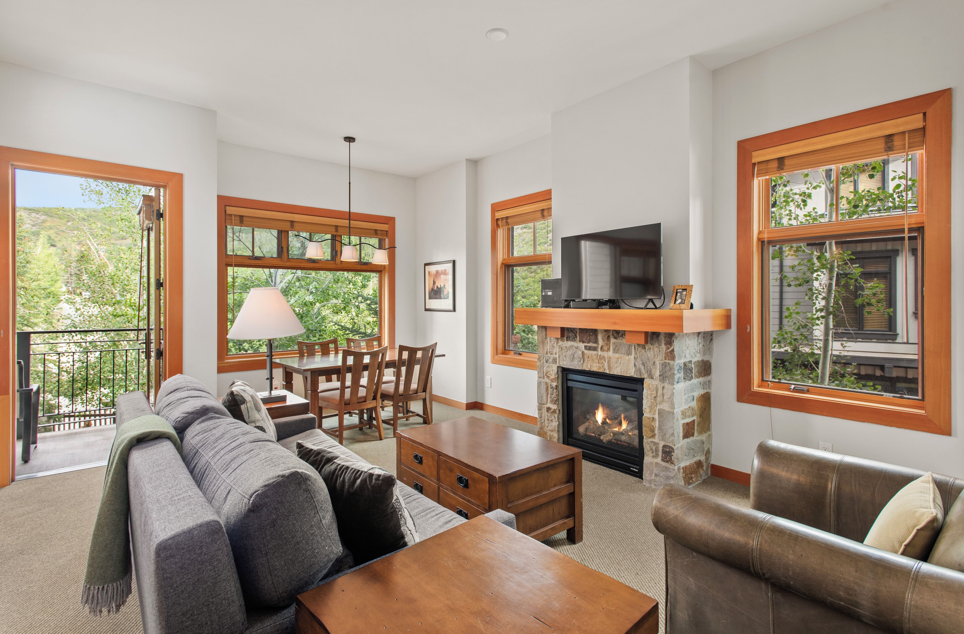 Smart TV, fireplace, DVD player