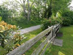 Un chemin de gravier bordé d’une clôture en bois et d’une végétation luxuriante, qui traverse un jardin où poussent différentes plantes et fleurs.