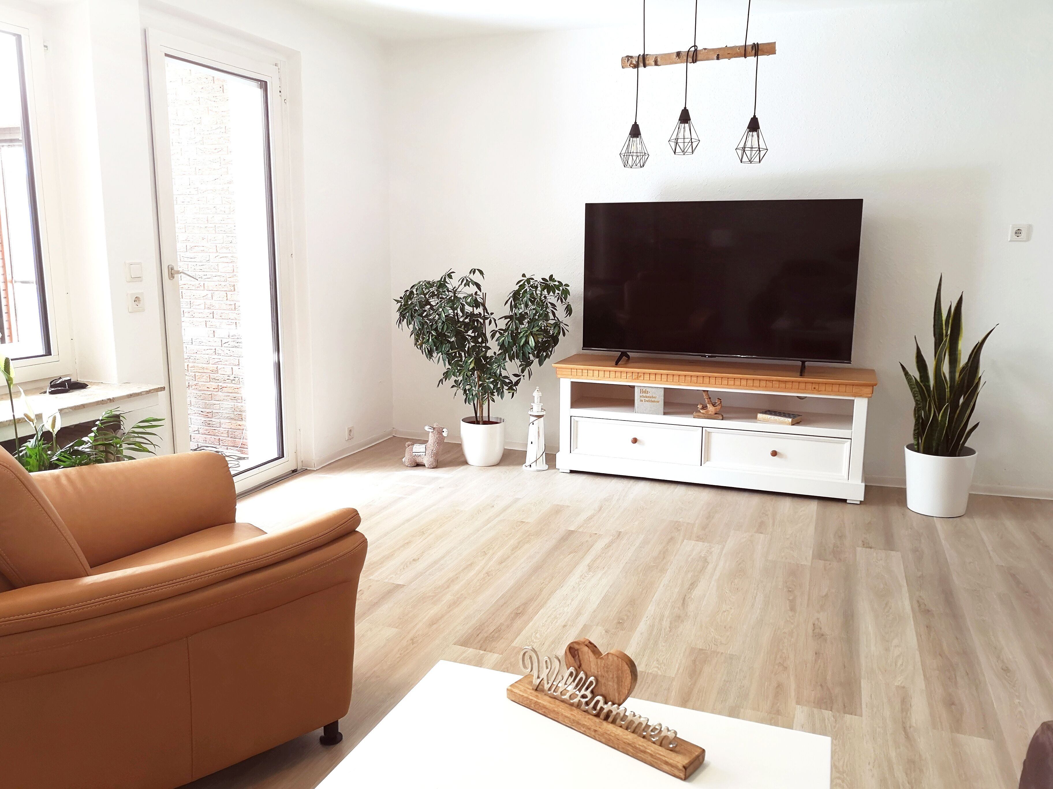 Smart TV, caminetto, libri