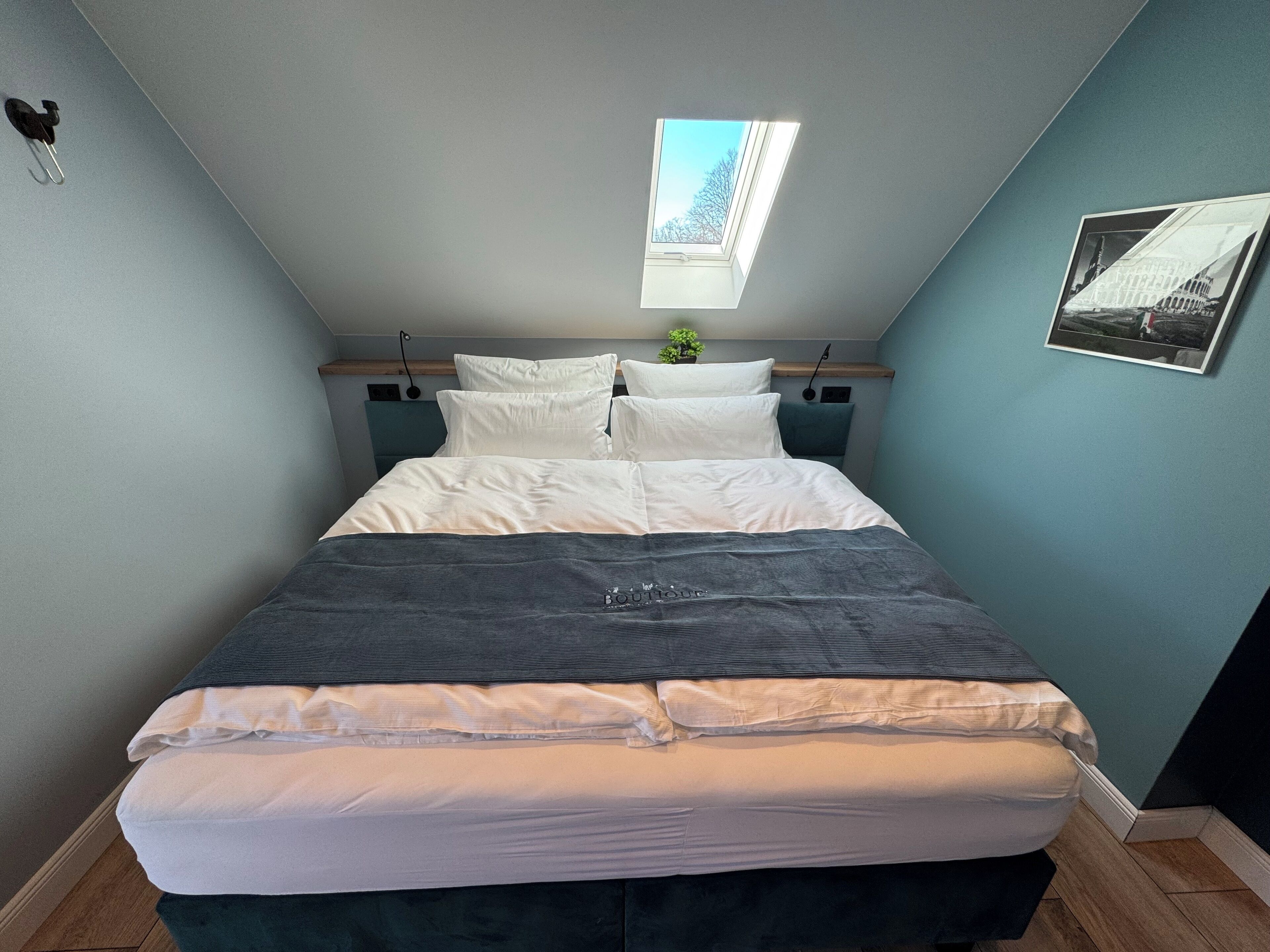 A bedroom with a bed, a skylight, a framed picture, and a small plant.