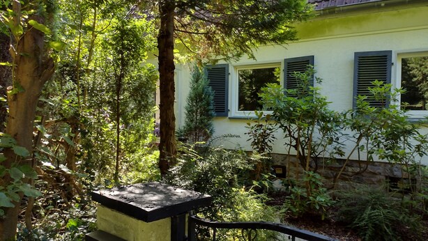 Una casa con fachada amarilla y contraventanas verdes, rodeada de abundante vegetación y árboles.