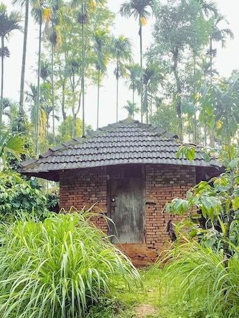 View from property. kaffeevalley home stay