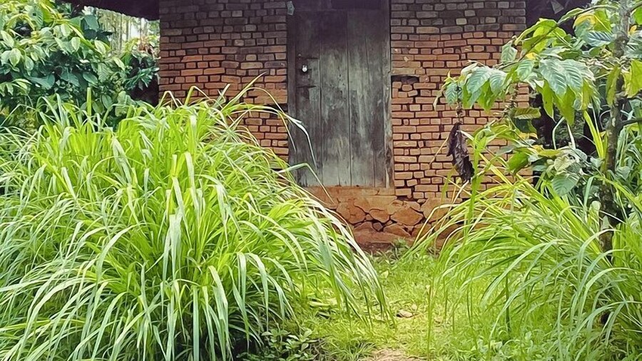 kaffeevalley home stay