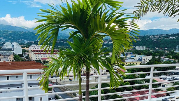 A balcony with a potted palm tree, wooden flooring, and a view of a cityscape with buildings and mountains in the background. - Island vibes Oasis with a beautiful Pool (Kingston)