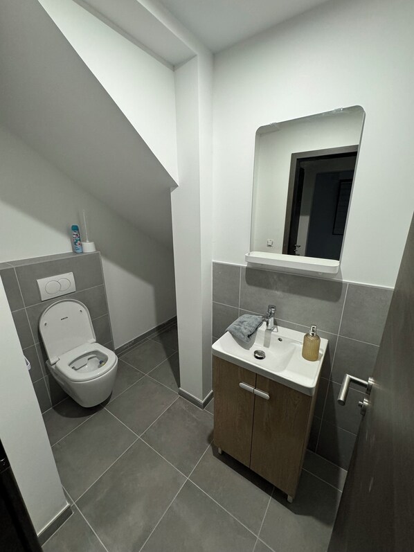 A modern bathroom with a toilet, sink, and mirror.