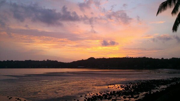 Miscellaneous - Guitar Home Stays - Close to Candolim Beach Goa (Candolim)