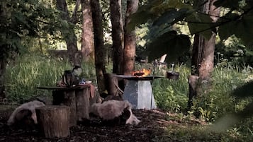 Cabin | Property grounds