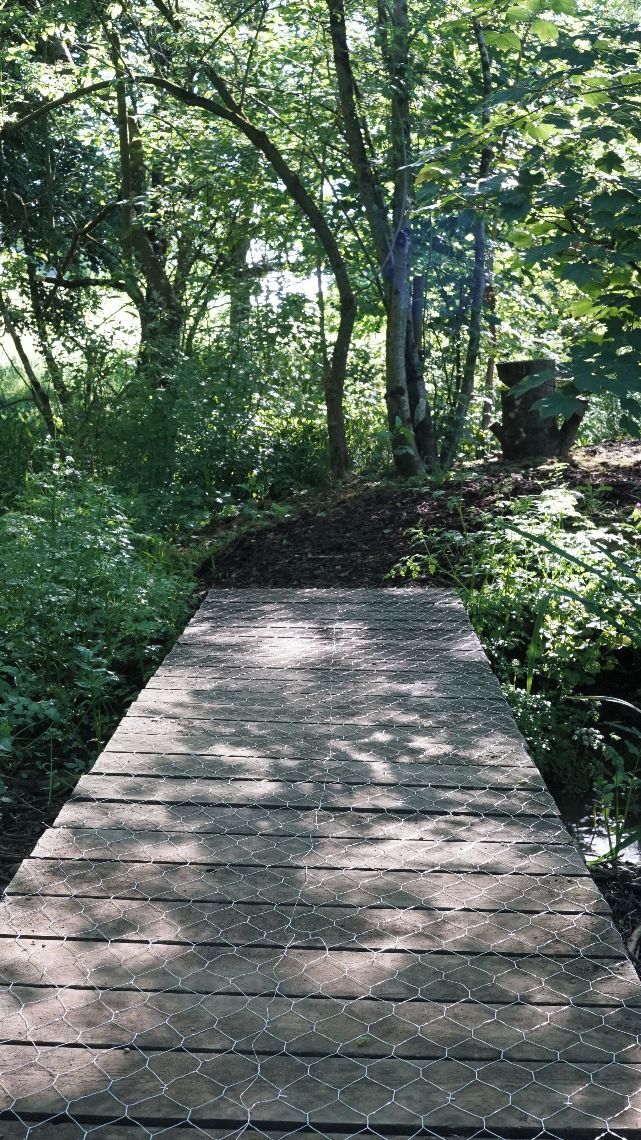 Cabin | Property grounds