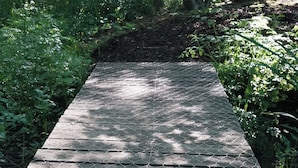A wooden boardwalk with a wire mesh barrier, surrounded by dense green foliage and trees. - Off-grid Cork Cabin With It's Own Island (Gillingham)