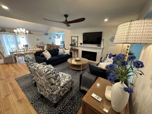 TV, fireplace, video games, books