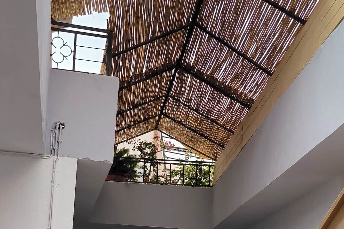 A covered outdoor area with a thatched roof, potted plants, and a blue metal gate.