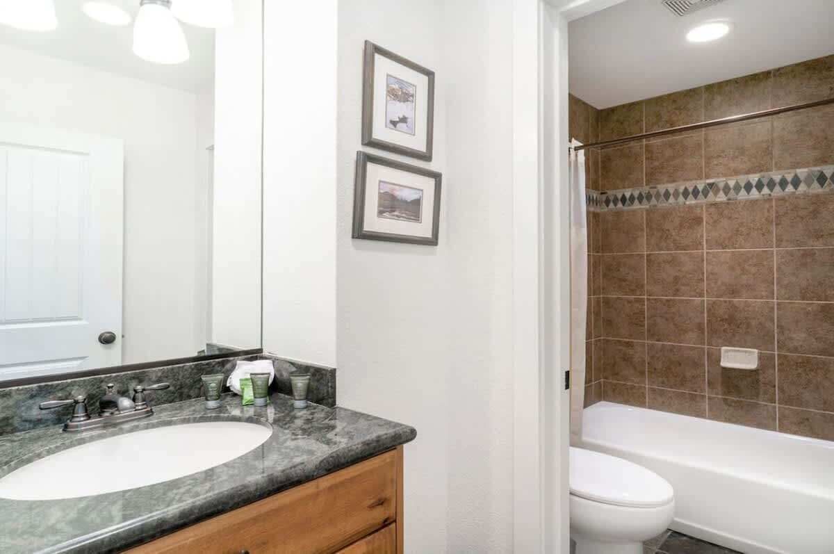 Shower, hair dryer, shampoo