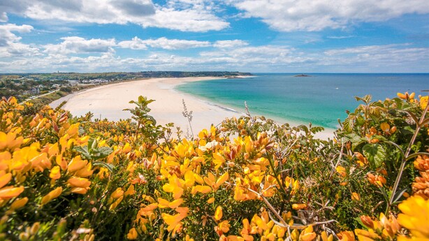 A beach with clear turquoise water, sandy shore, and lush greenery in the foreground. - Modern house with garden - 5min from the beach (Erquy)
