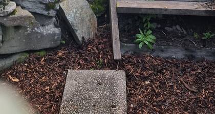 Tranquil apartment with WiFi in charming Trøndelag