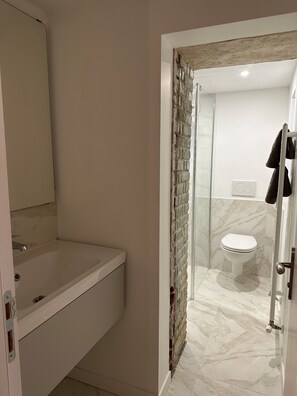 Regadera, amenidades de baño ecológicas, secadora de cabello 