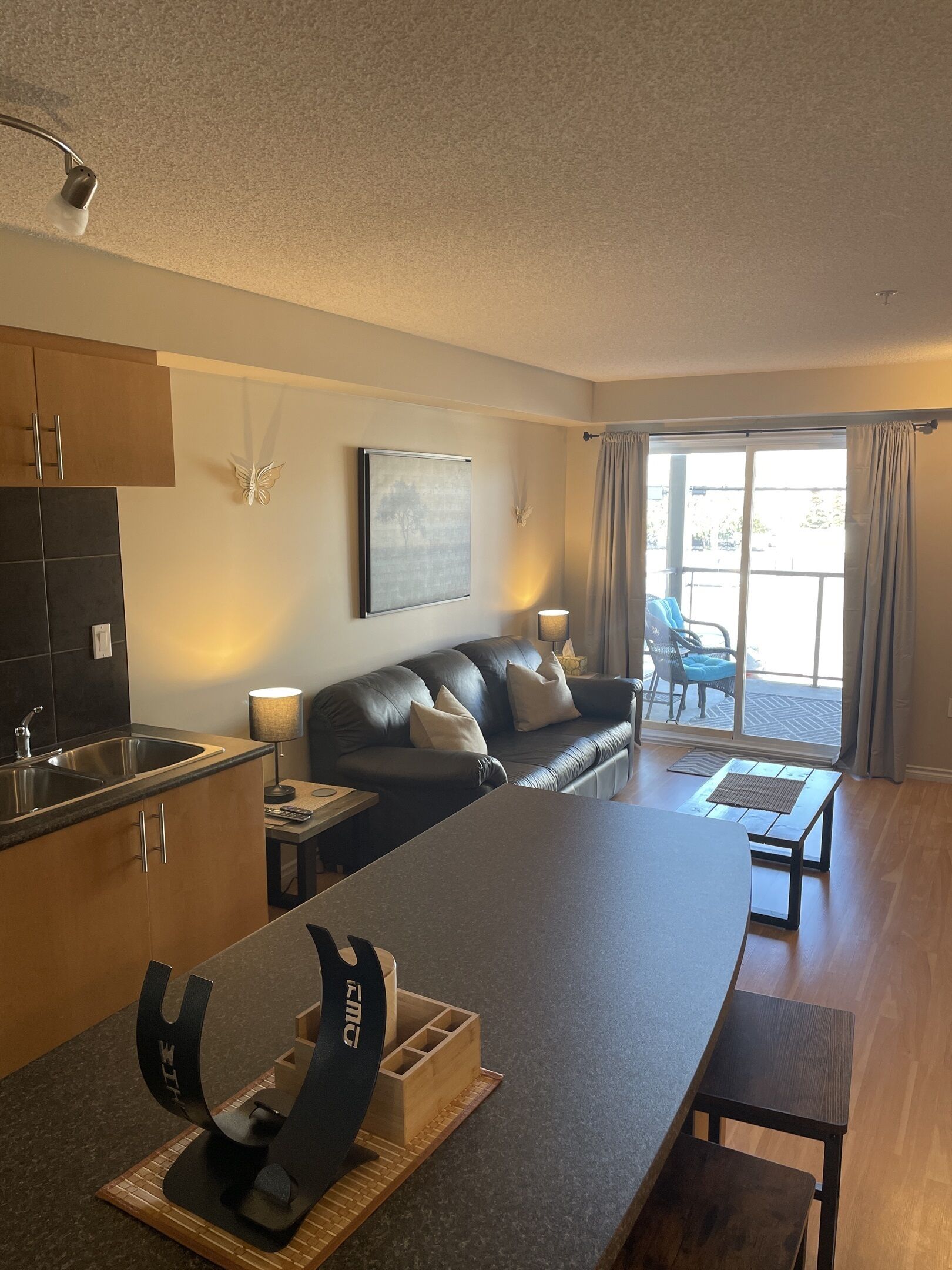 Smart TV, fireplace, DVD player, music library