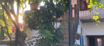 Home Langhe