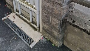A gated entrance with a metal gate and a padlock.