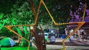 A star-shaped light installation on a tree in a campsite setting.