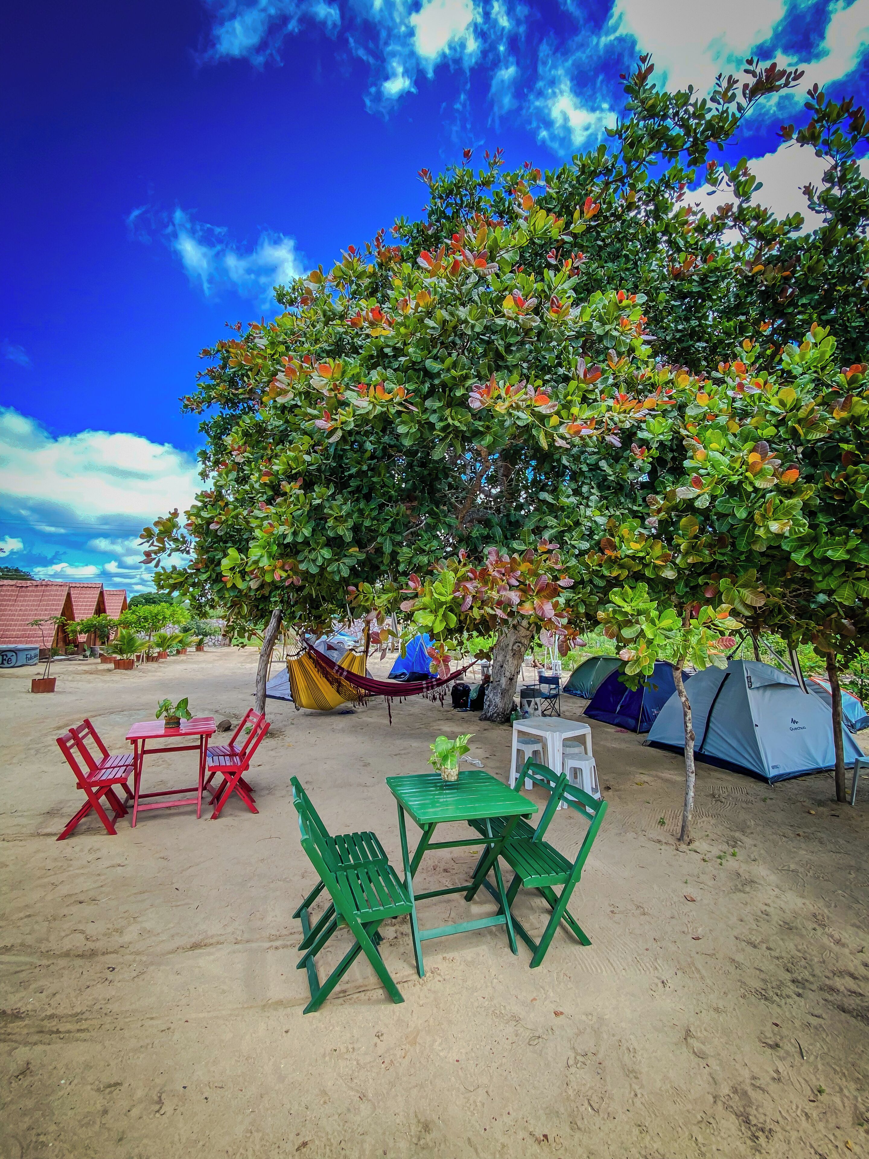 Alpehytte | Terrasse/patio