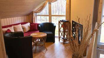 TV, fireplace, DVD player, books