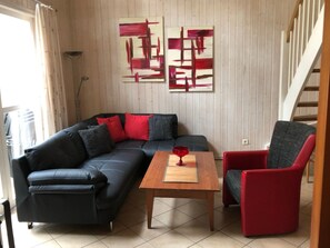 TV, fireplace, DVD player, books