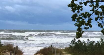 Vacation home near the beach with sauna, whirlpool and fireplace