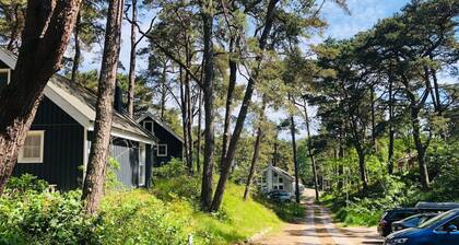 Vacation home near the beach with sauna, whirlpool and fireplace