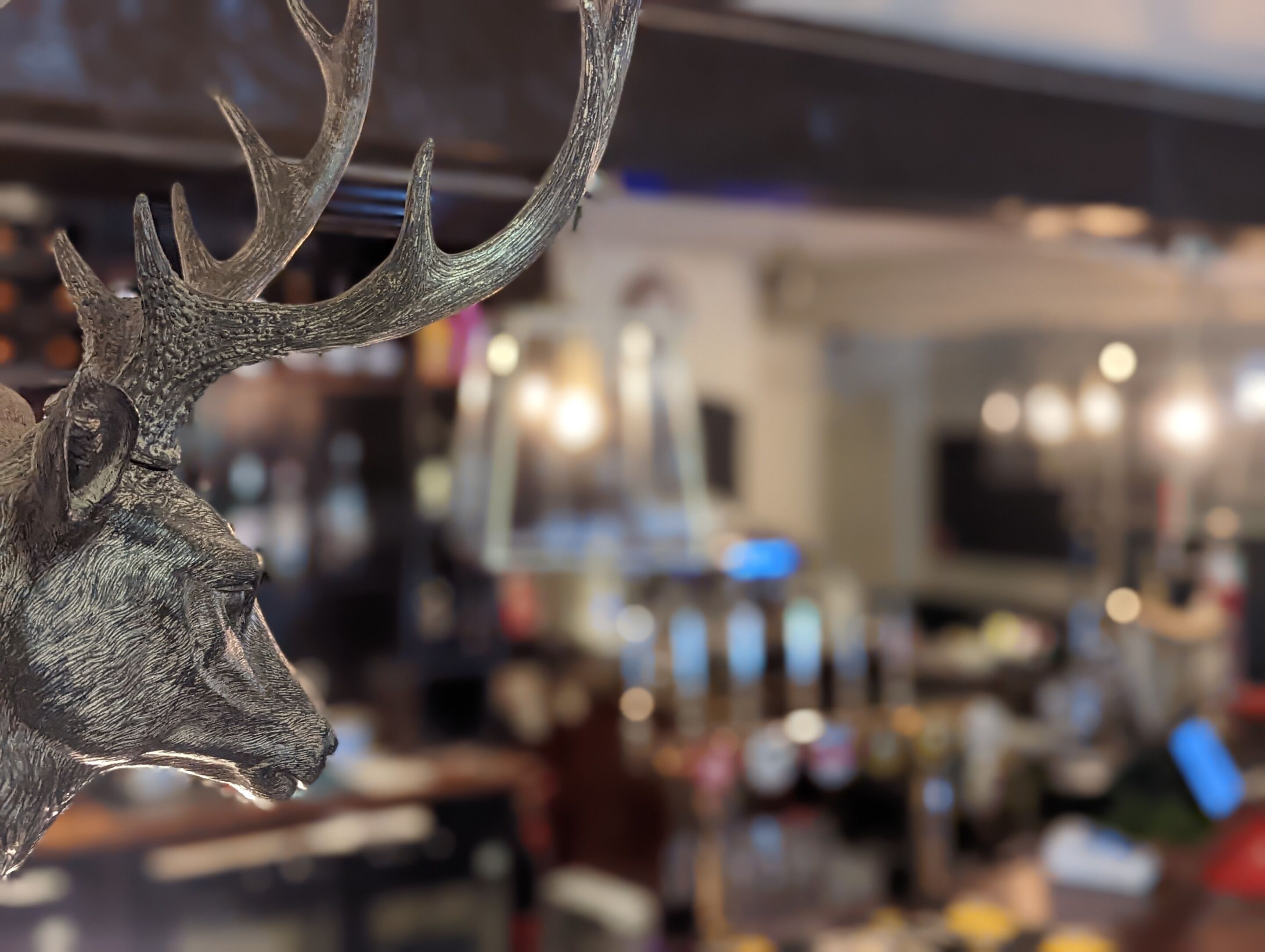 Close-up de uma escultura de cabeça de veado com chifres, com um fundo desfocado de um bar ou restaurante com várias luzes e equipamentos.