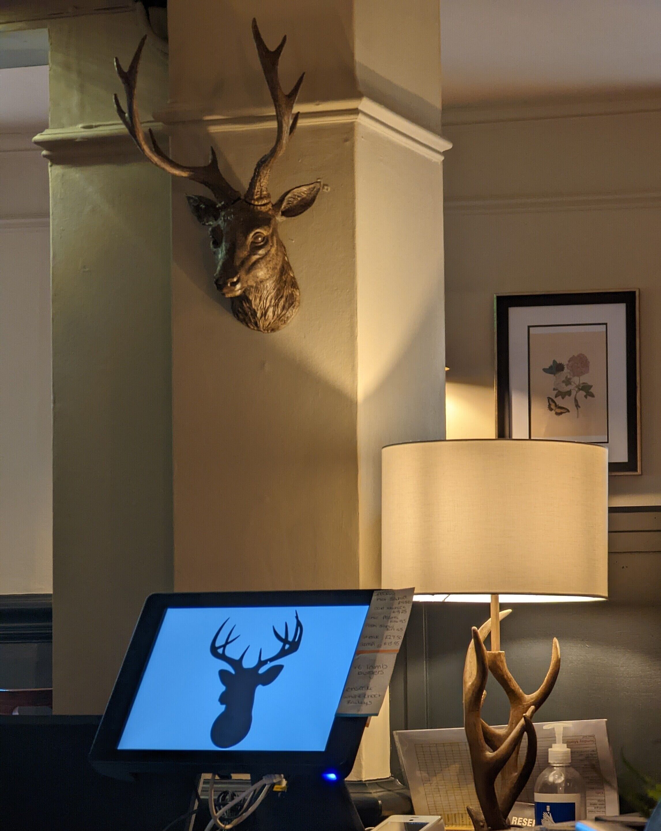 A room with a mounted deer head on the wall, a laptop displaying a deer silhouette, a lamp, and a decorative wooden piece.