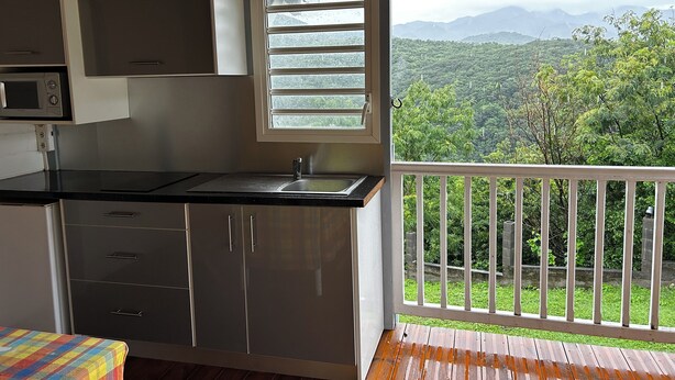 A kitchen with a window overlooking a lush landscape.