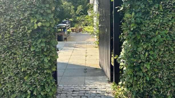 Un camino pavimentado que atraviesa un jardín con una reja de madera y una cerca de metal.