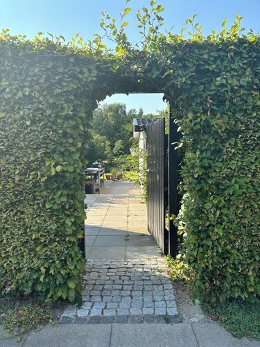 TheLittleHouseBy-The-Lake