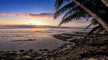 A beach with rocky terrain and palm trees.