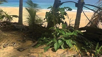 Beach nearby, white sand, sun-loungers, beach umbrellas