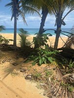Beach nearby, white sand, sun loungers, beach umbrellas