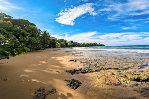Vlak bij het strand, wit zand, ligstoelen, parasols