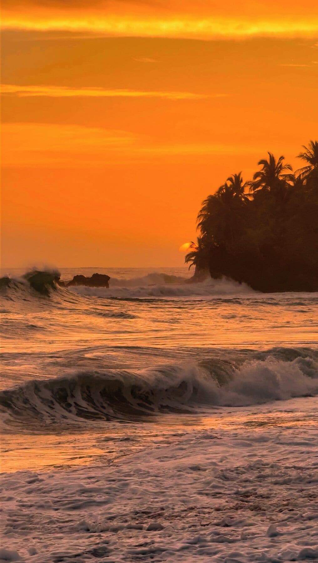 A sunset over the ocean with waves and palm trees silhouetted against the sky.