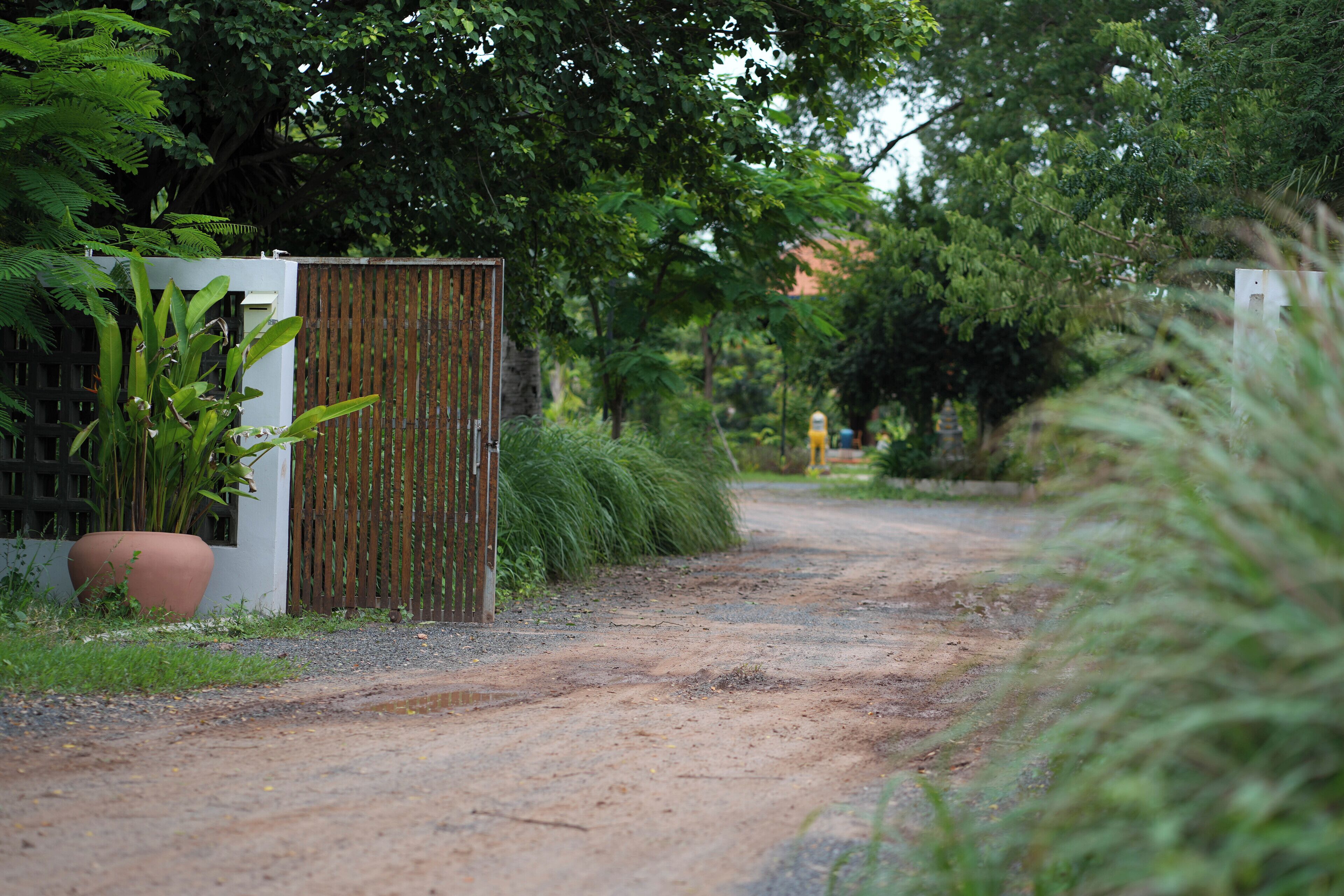 A dirt path leading to a gated area with a wooden fence and lush greenery.